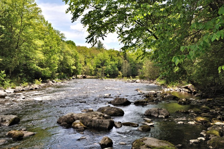 River View 3